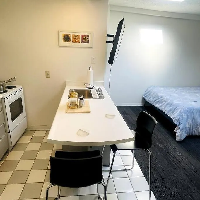 Cozy Studio Apartment Toronto 0*,  Canada